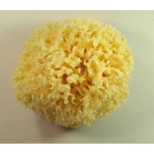 Mittelmeer Naturschwamm - Seifenmeister.de